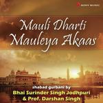 Prof. Darshan Singh Songs MP3 Download